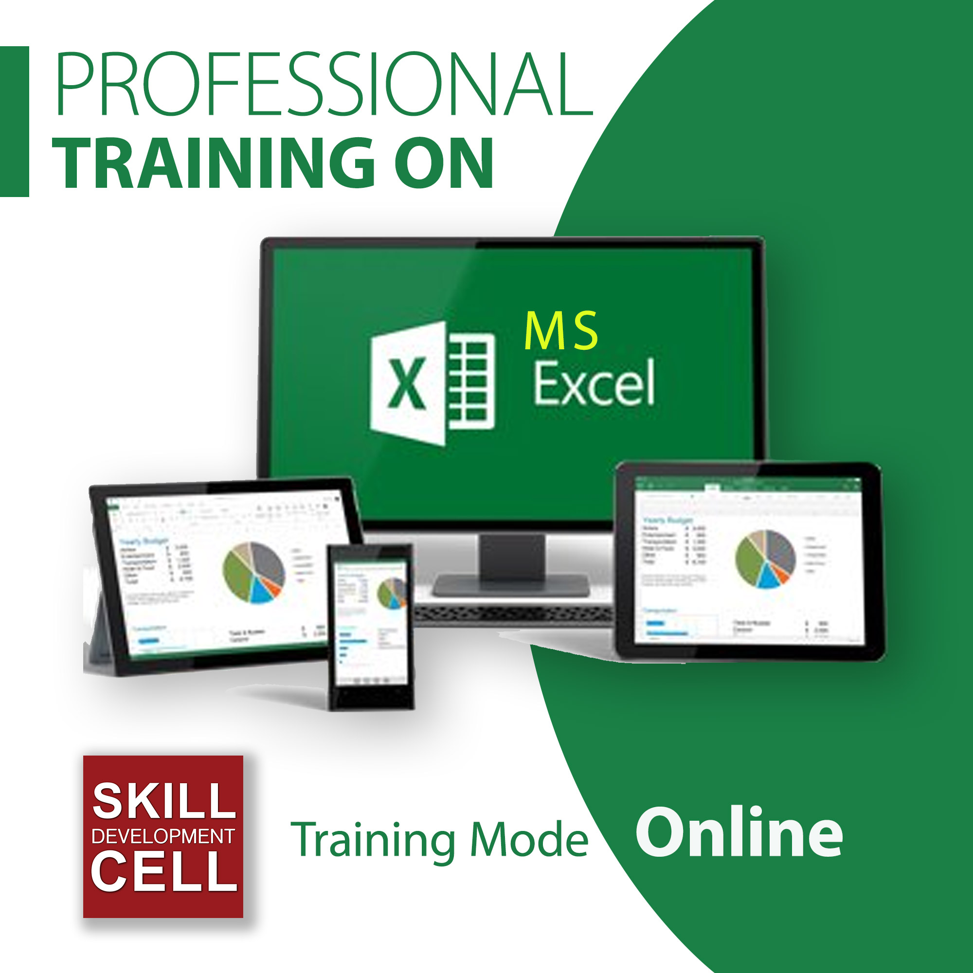 Read more about the article Professional Training on MS Excel